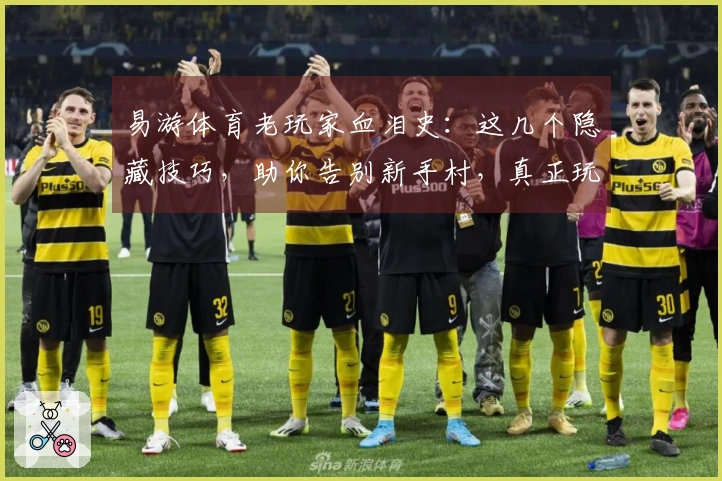 易游体育老玩家血泪史：这几个隐藏技巧，助你告别新手村，真正玩懂它！