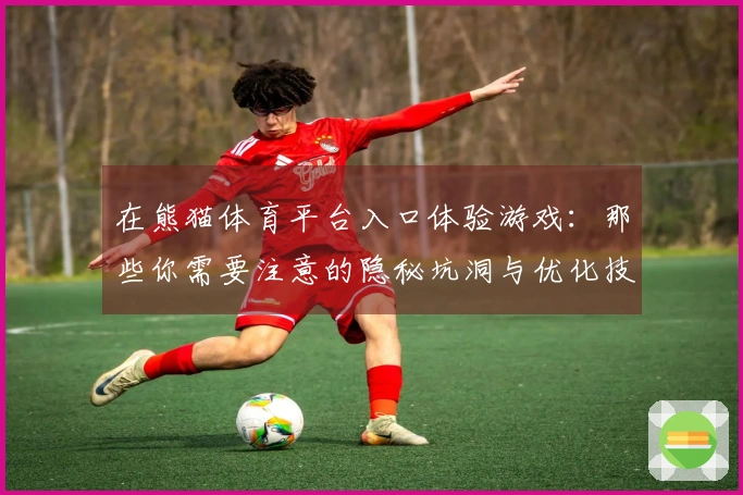 在熊猫体育平台入口体验游戏：那些你需要注意的隐秘坑洞与优化技巧