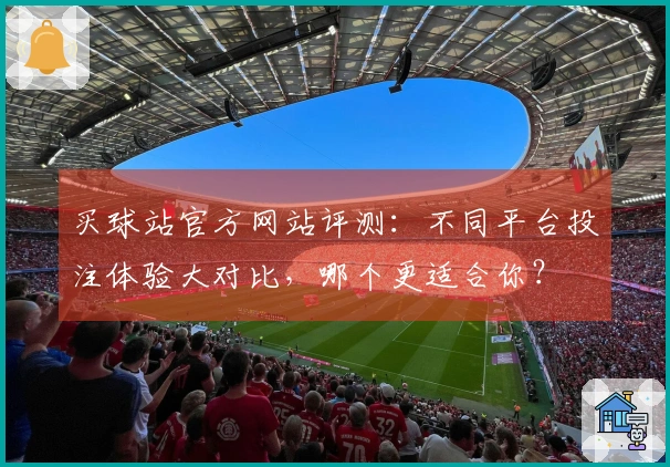 买球站官方网站评测：不同平台投注体验大对比，哪个更适合你？