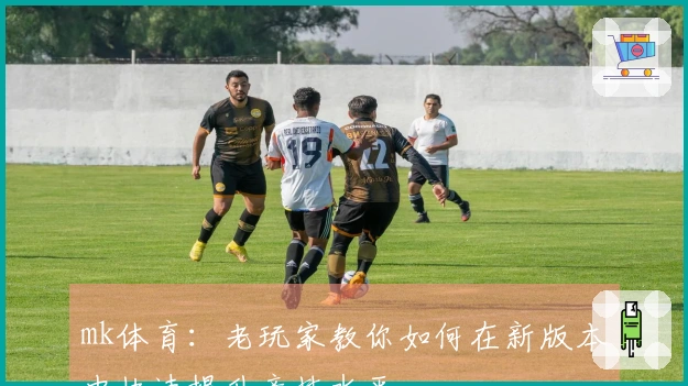 mk体育：老玩家教你如何在新版本中快速提升竞技水平