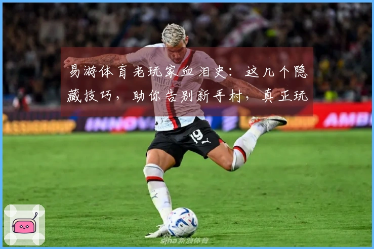 易游体育老玩家血泪史：这几个隐藏技巧，助你告别新手村，真正玩懂它！