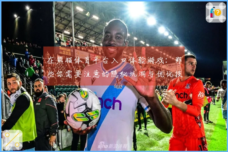 在熊猫体育平台入口体验游戏：那些你需要注意的隐秘坑洞与优化技巧